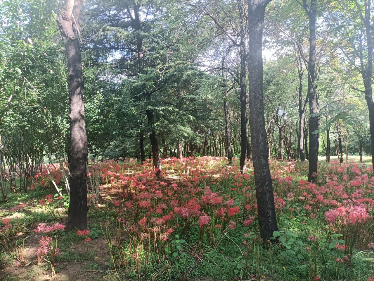 多言招祸乾隆年间，在苏北有位叫刘贵的读书人，因为淮河决口，地里庄稼颗粒无收