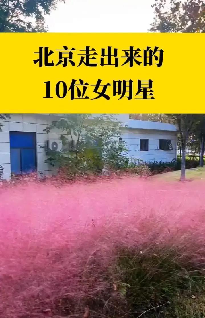 0.4%录取率，北京女孩还在冲去年中戏放榜，近五万人抢两百个名额。地铁四号