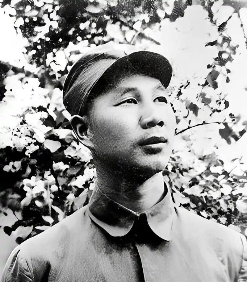 1934年湘江血战，红4团政委杨成武右腿被弹片贯穿，鲜血染透草鞋。聂帅喝令工兵连