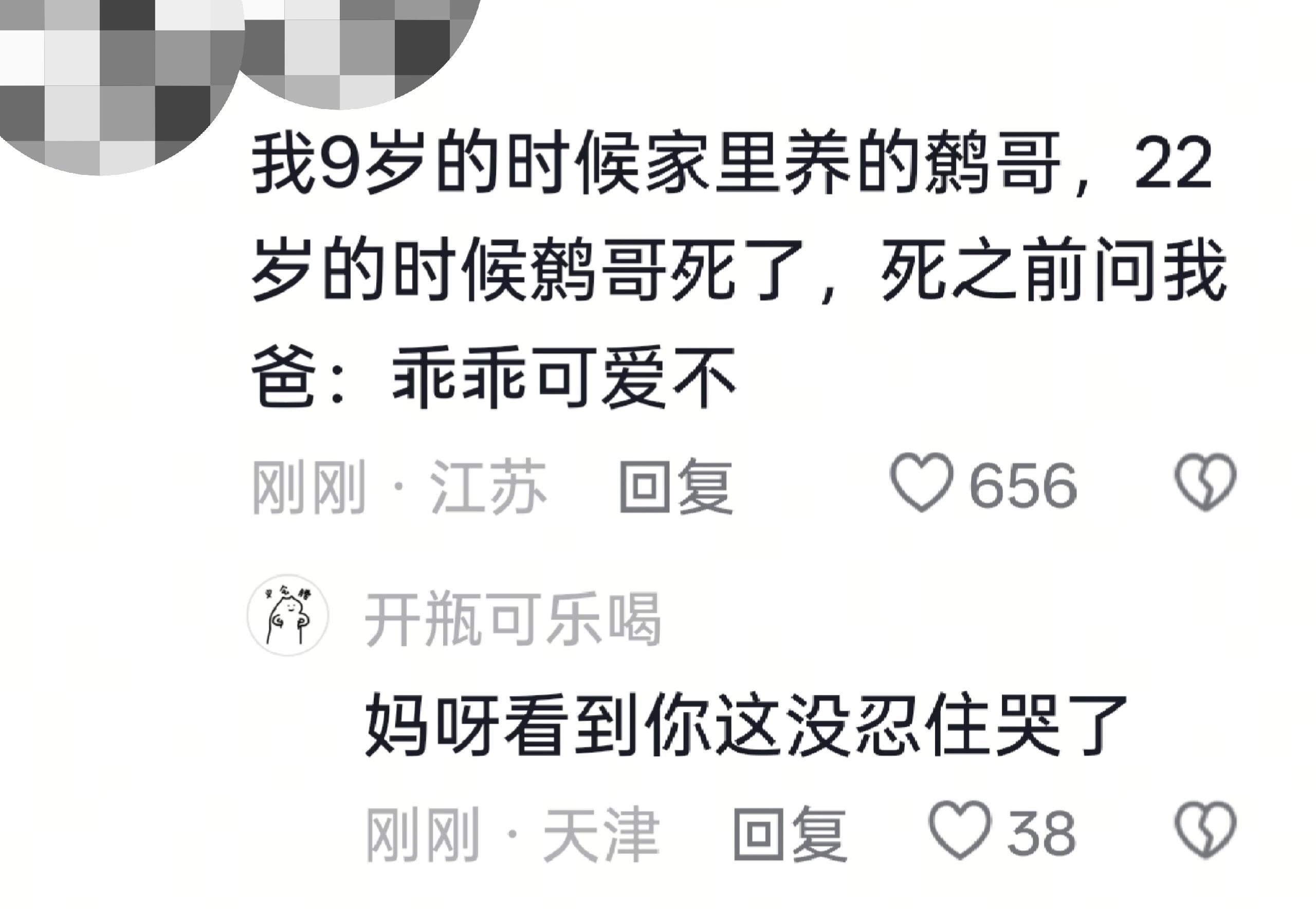 “为什么我是小狗？”​​​