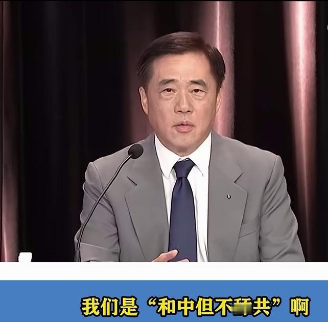 国民党主席候选人郝龙斌，在竞选国民党主席时发表的言论，他说:“一中各表”是过去两