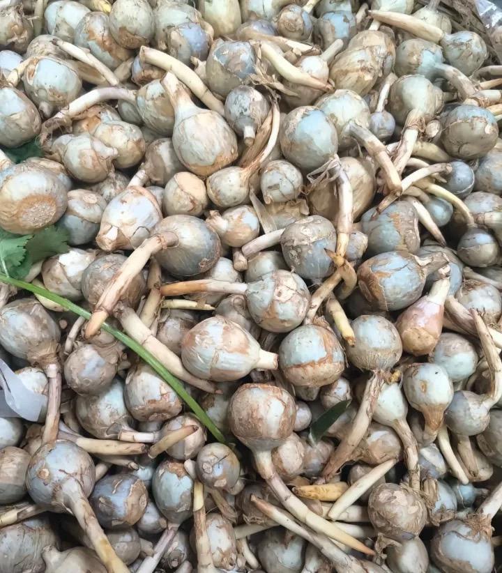 我猜所有人都不认识