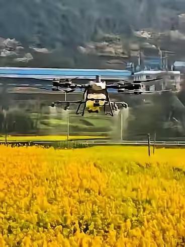 不敢相信，从无人机打药到死蜜蜂，后面在到鱼，没想到这次连小麦田水沟里鱼虾泥鳅蚯蚓