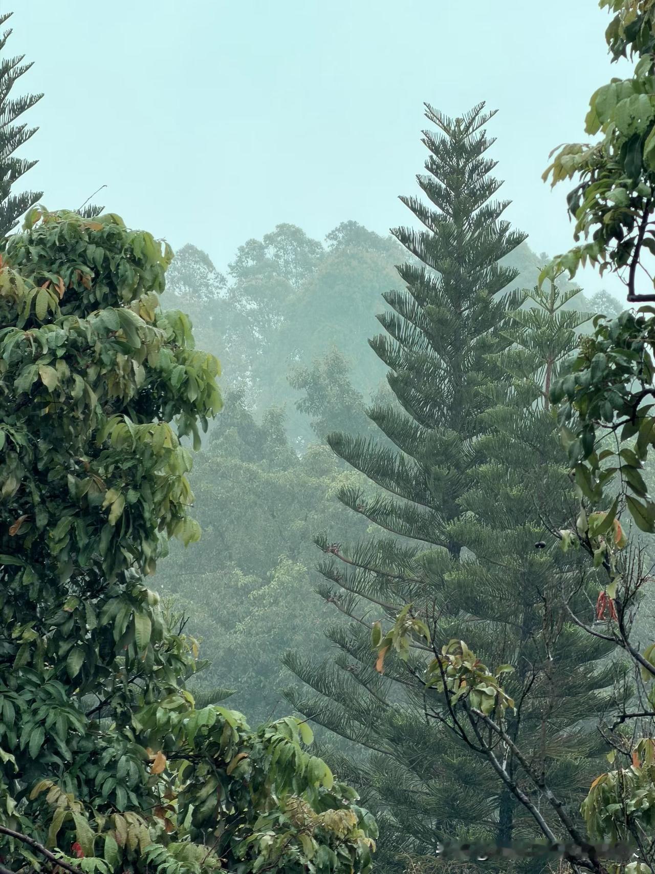 领导找我谈话，意思是单位要裁人，办公室已有1/4被干掉了，剩下的1/3要调换岗位