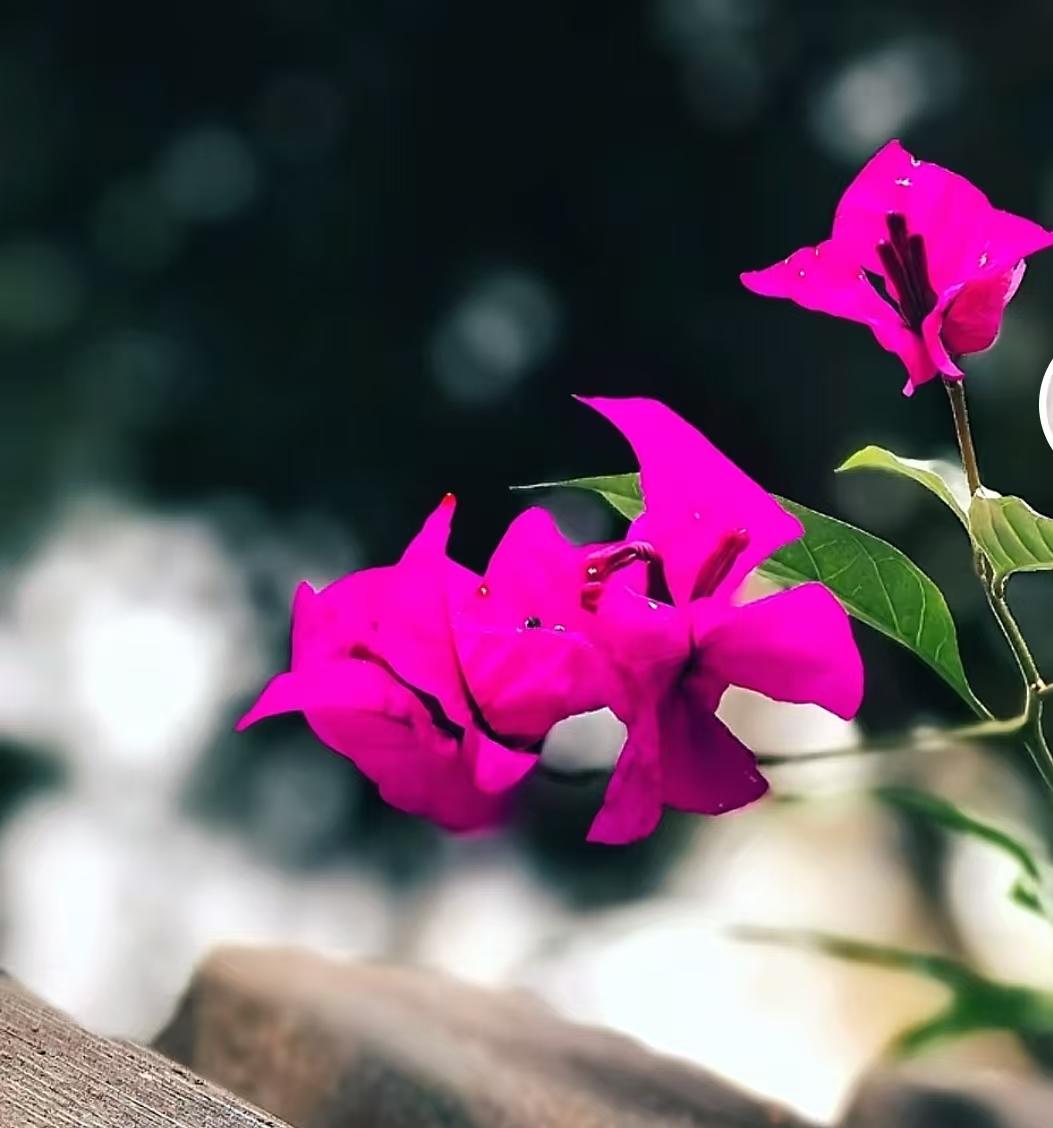 60岁以后，还能占全以下几条的，生活会幸福：1、有个原配的老伴，老夫老妻感情