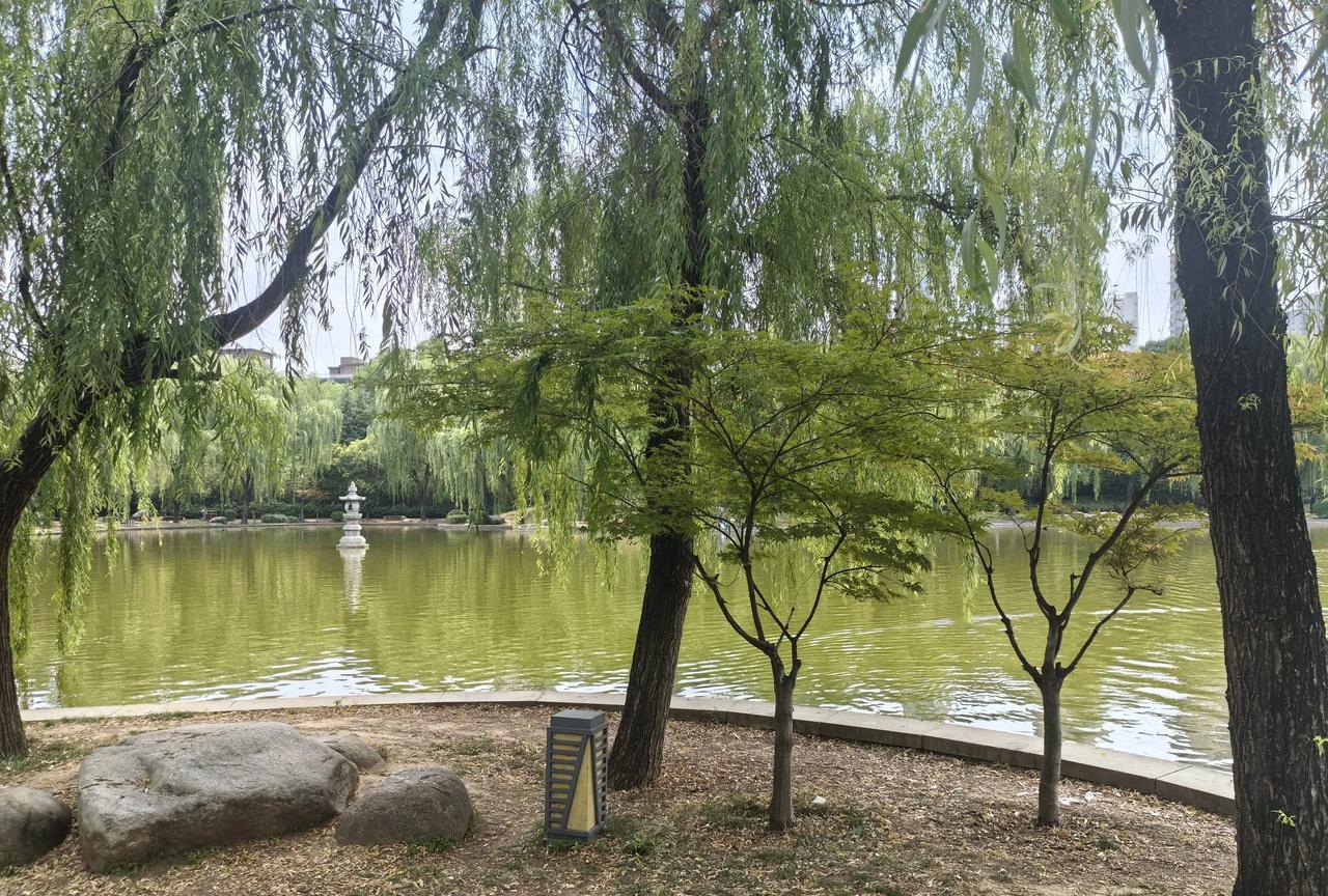 陕西的太白县这几天是彻底地火了，不是因为那边风景有多美，而是因为温度低，凉爽，西