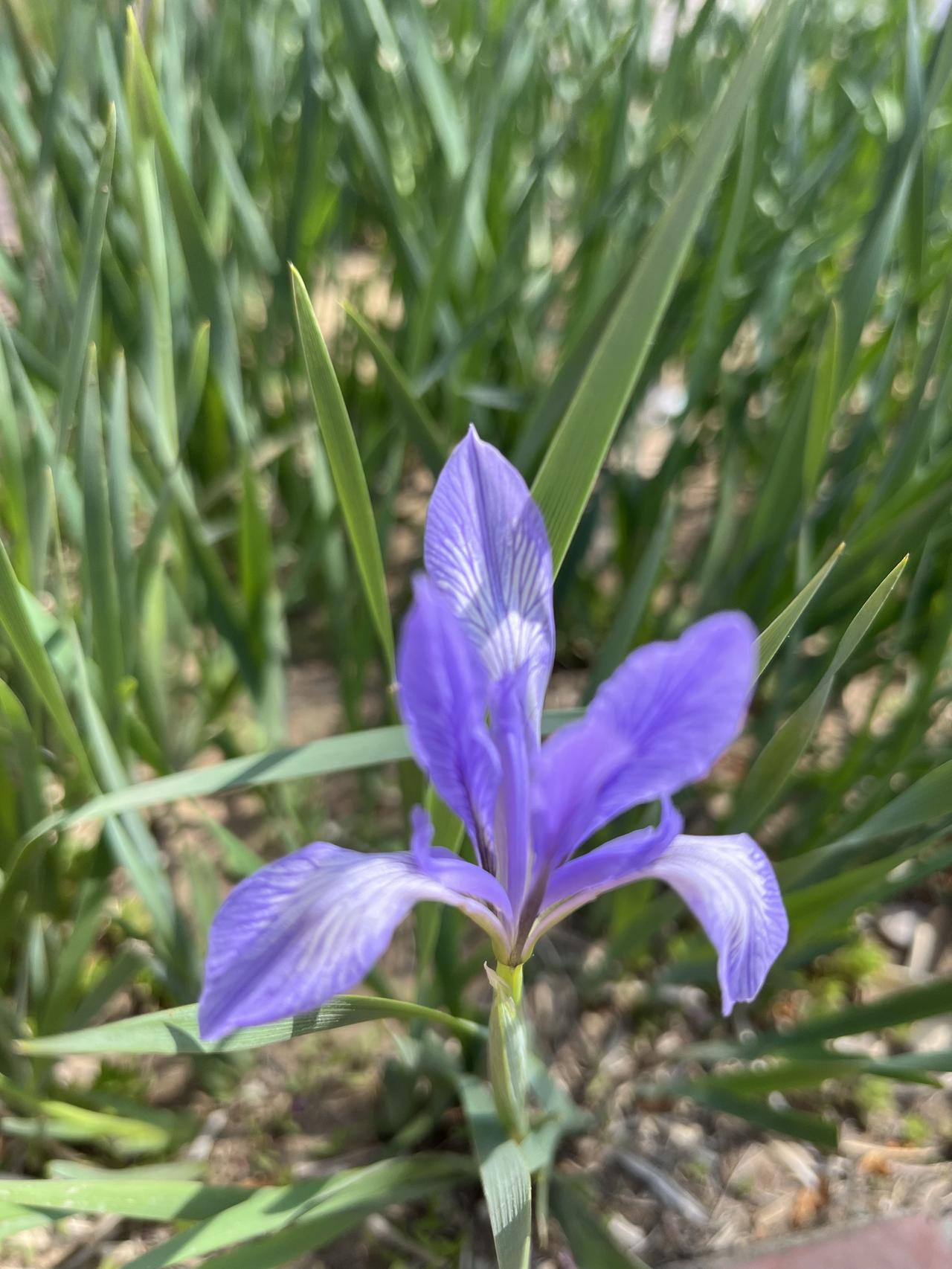 12月22日：事关北京二手房，涨跌自己判断！距离2026年倒计时9天，昨日北