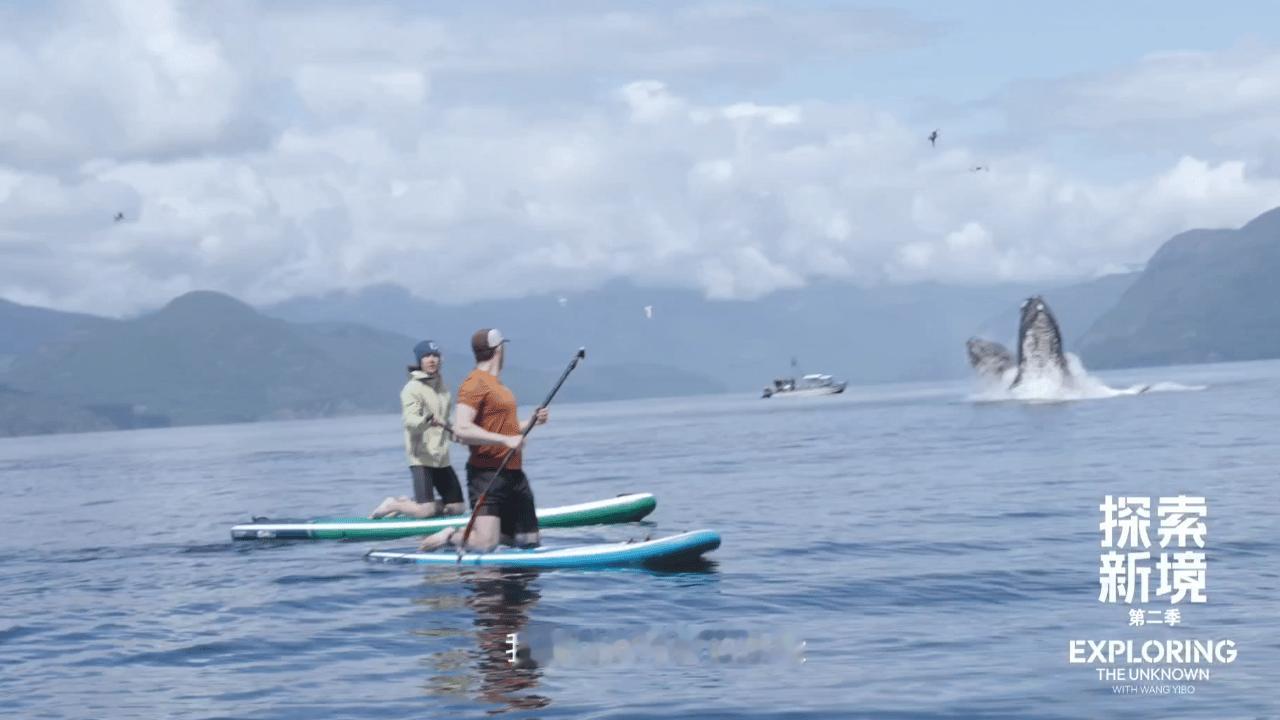 家人们，谁懂啊？一博真的和鲸鱼🐳合影了！战战发过两次鲸鱼🐳，鲸鱼代表忠贞的爱
