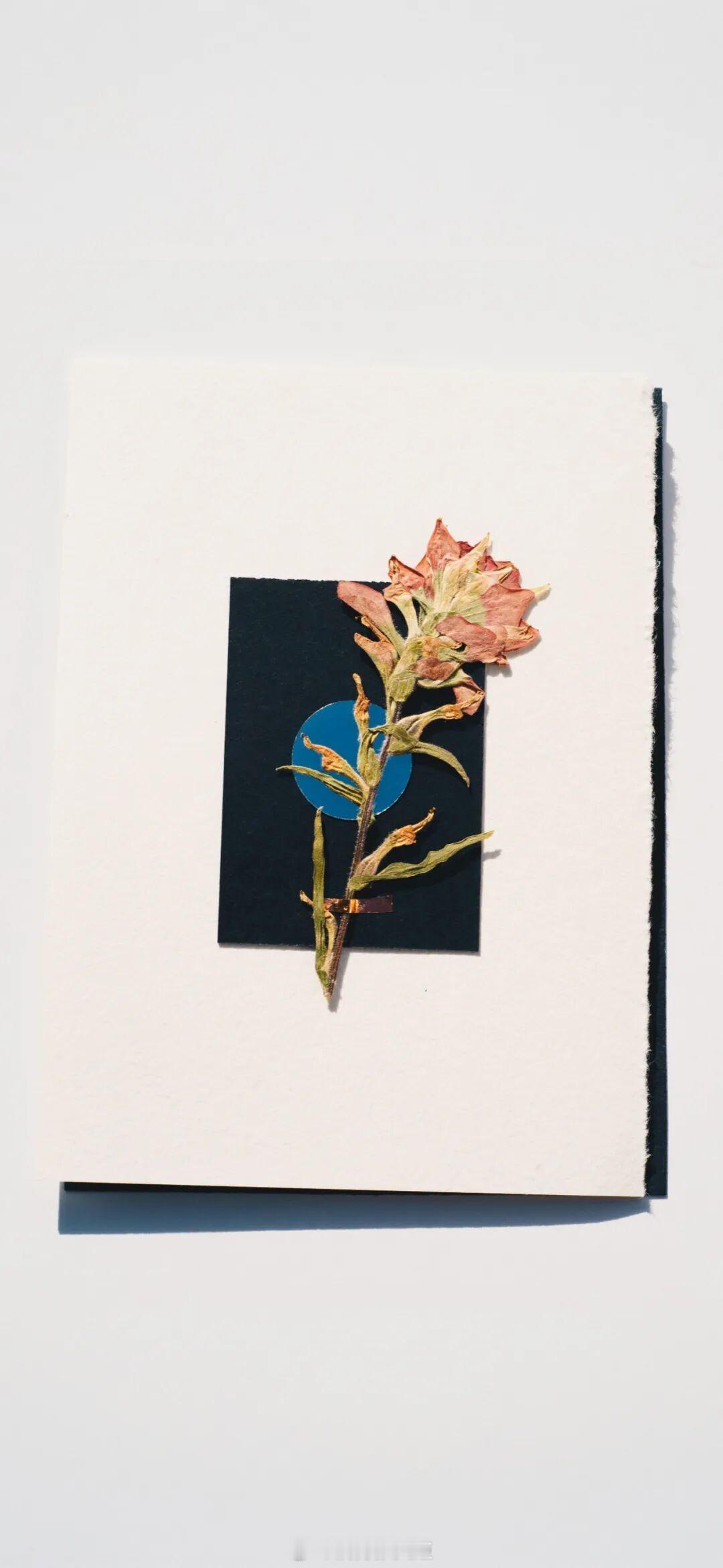 我是你的小狗，你去哪儿我都会等你。——《陈年烈苟》晚安​​​