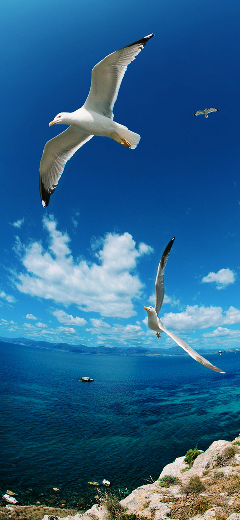 一些好看的壁纸，方寸之间，藏着满心欢喜与诗意。壁纸发现手机壁纸4k壁纸专栏