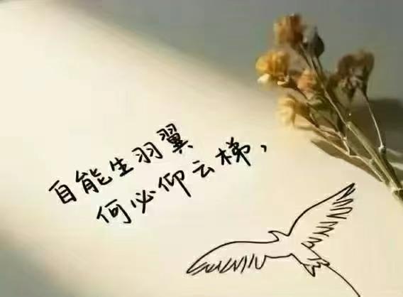 与其“慕强”不如“慕己”​展翅高飞的翅膀​一定不是别人送的你说呢……​​​