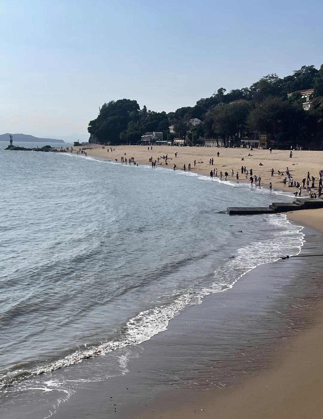 看到邻居因为噪音濒临崩溃，我的噪敏奇迹般的好转了。自从两个月前加了业主群，就发