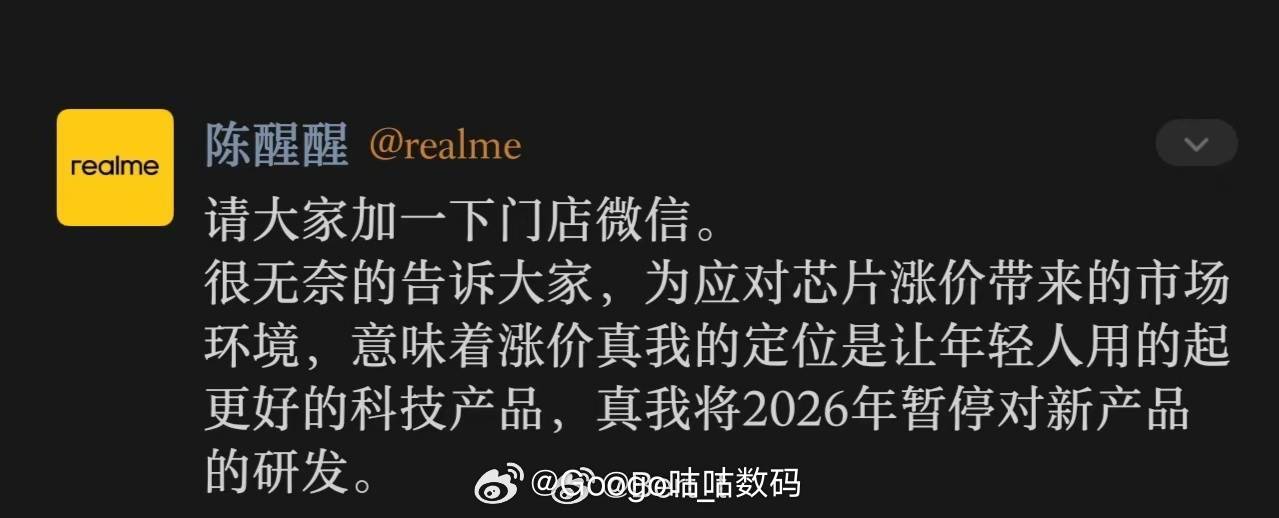 记得数码闲聊站之前也说过除了魅族，还有一家决定暂停研发。没想到是真我。