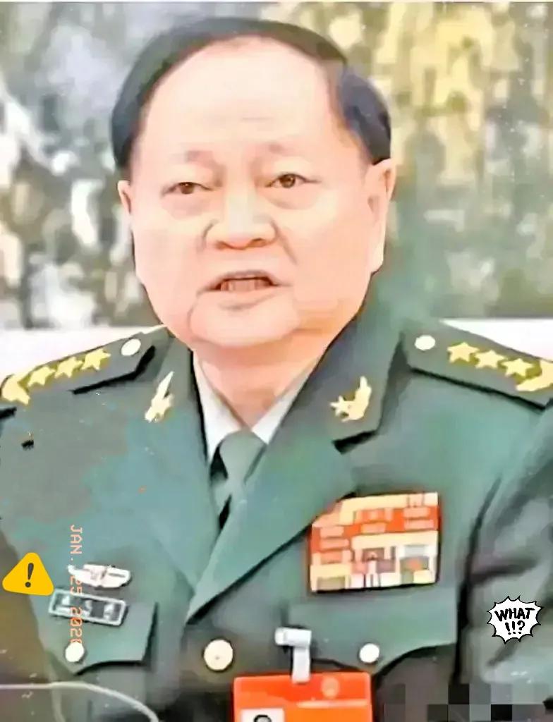 这次军队反腐被称为“雷霆反腐”，因为它的力度空前，彻底，没有任何保留，强调“反腐