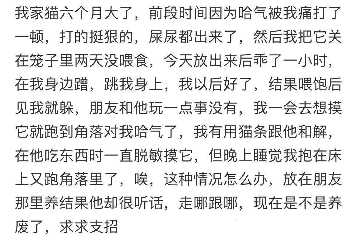 打完猫以后它不信任我了怎么办​​​
