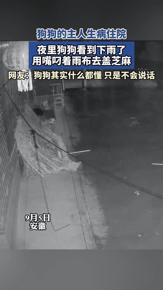 “万万没想到。”安徽阜阳，一老人生病住院，嘴里反复念叨的不是医药费，而是家里的狗