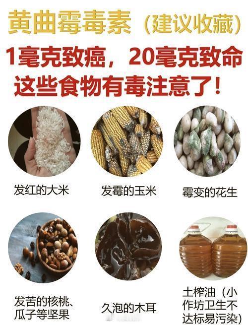 这种致癌物在春节很常见黄曲霉素其实挺常见的。家里老人总觉得发霉的东西或者坏了的扔