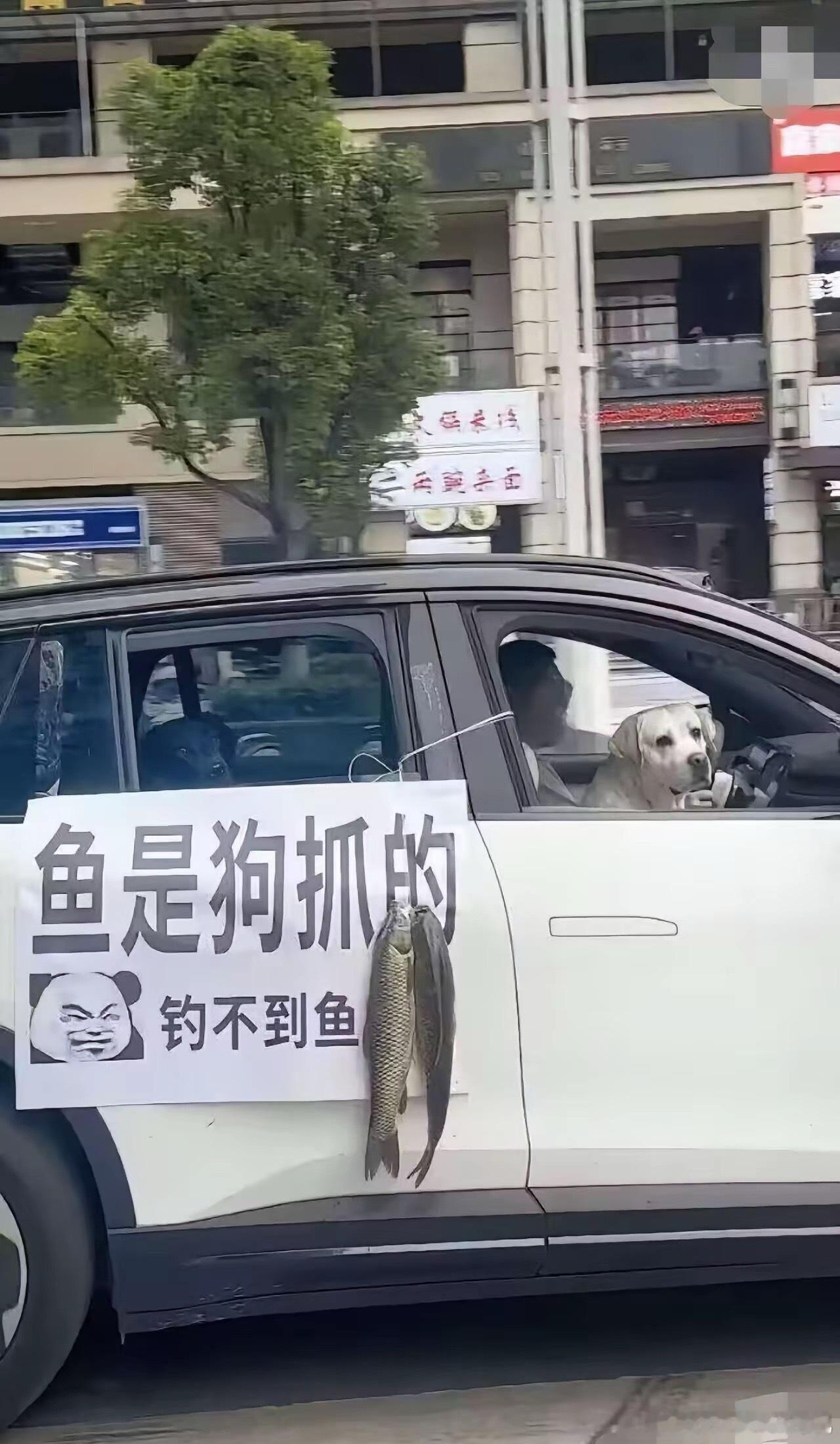 钓鱼空军的人，他哭了啊！