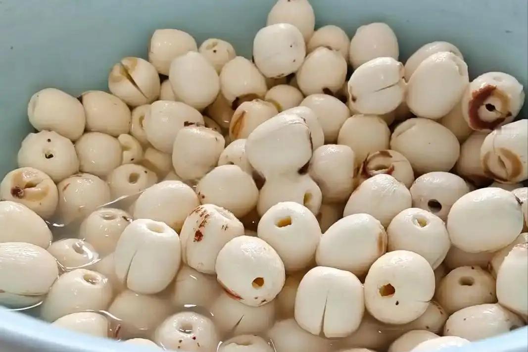 肾内科偷藏的“长寿果”被曝光！莲子这样吃，四重惊喜让肌酐乖乖降！