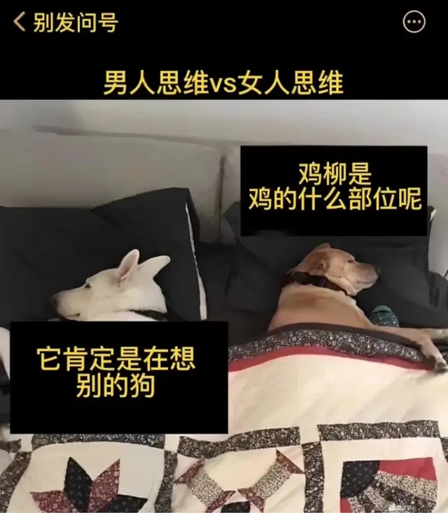 男生和女生的思维差异是什么? 对话