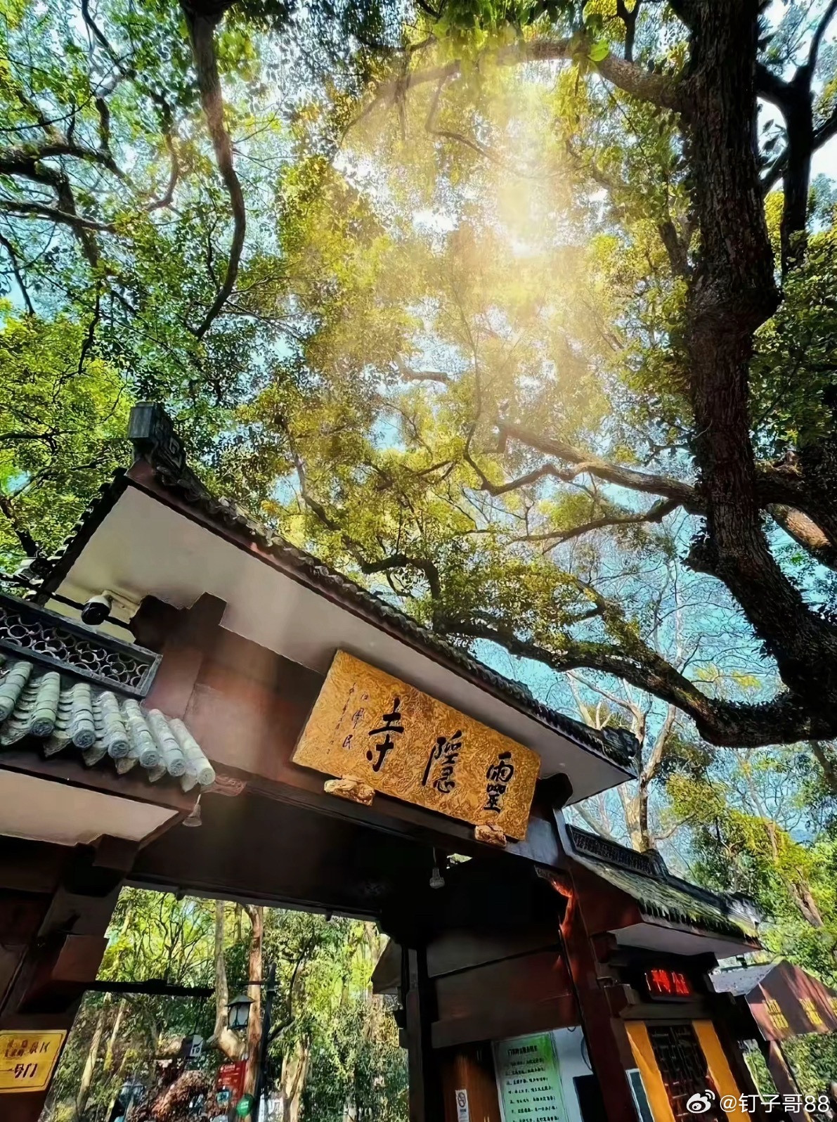 周末复盘主线：电力龙头：豫能控股--横盘震荡筑顶华电辽能-