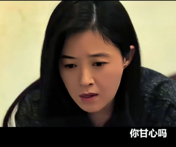 《以法之名》，对谢鸿飞的审查，在谢鸿飞拿出购买那些金条的发票后宣告结束，谢鸿飞的