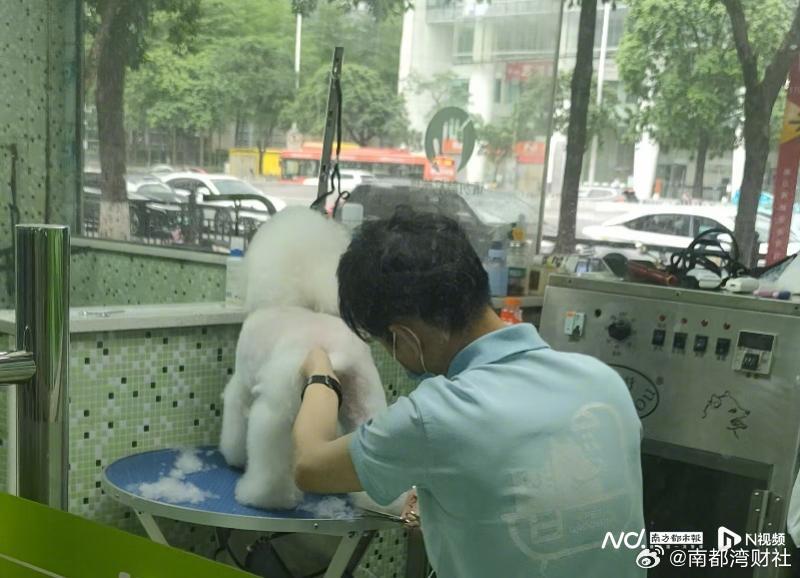 #宠物险是智商税吗#【毛孩子上保险，赔付率满意么？宠物险增长背后的理赔难真相】#