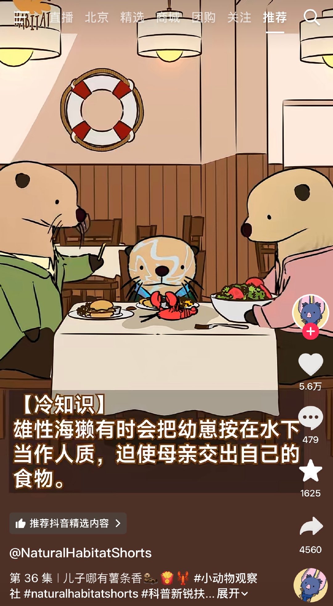 我长大以后也要当海獭