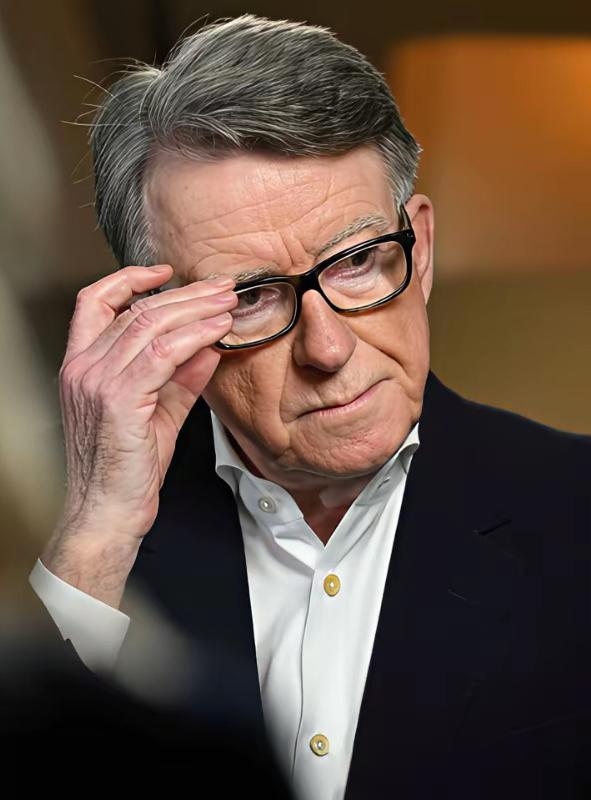 爱泼斯坦案又有新料，这瓜越吃越上头！2月1日，72岁的英国前驻美大使彼得·曼德尔