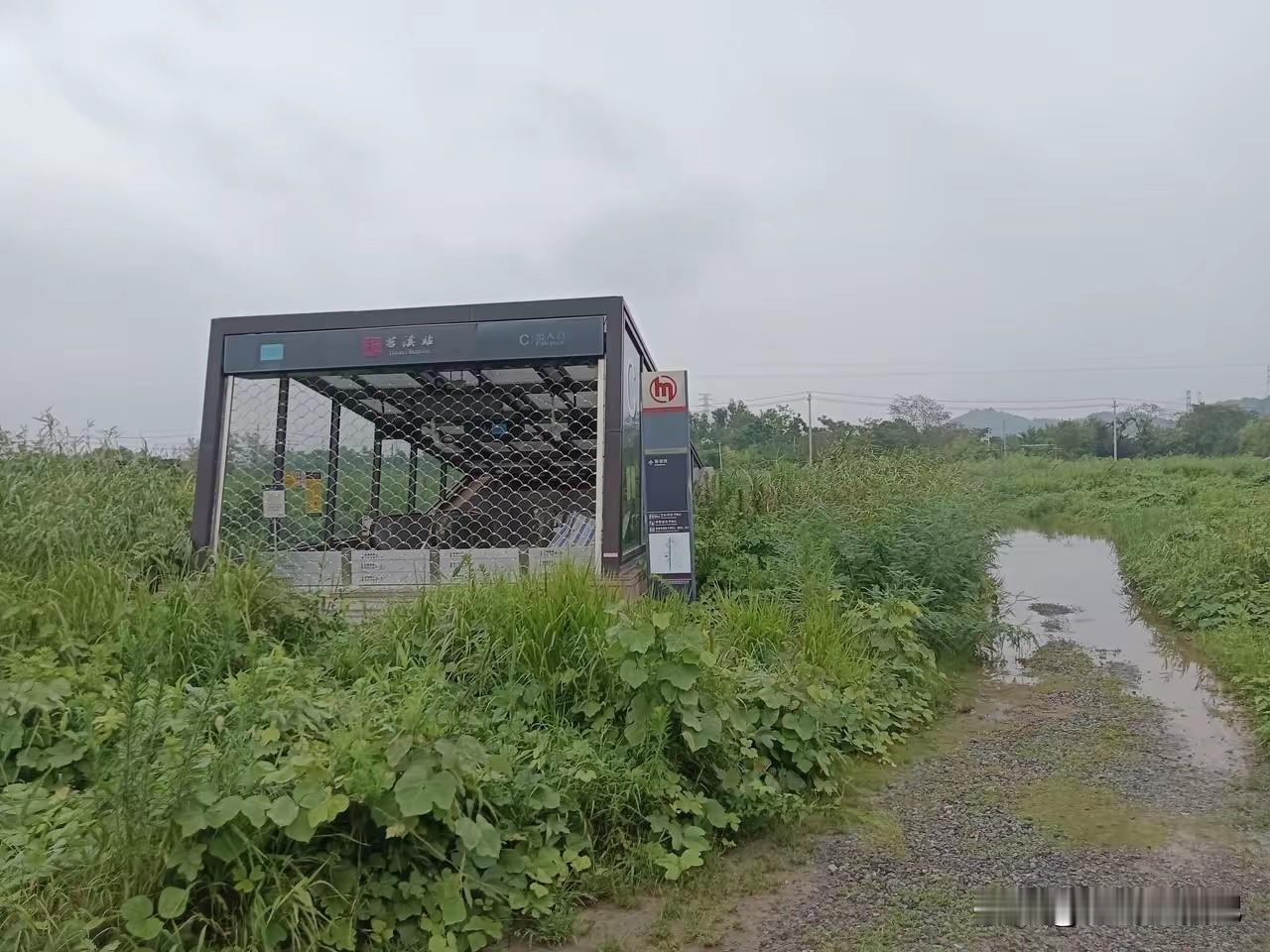 郊区通地铁了，不知道周围房价有没有跟着上涨？