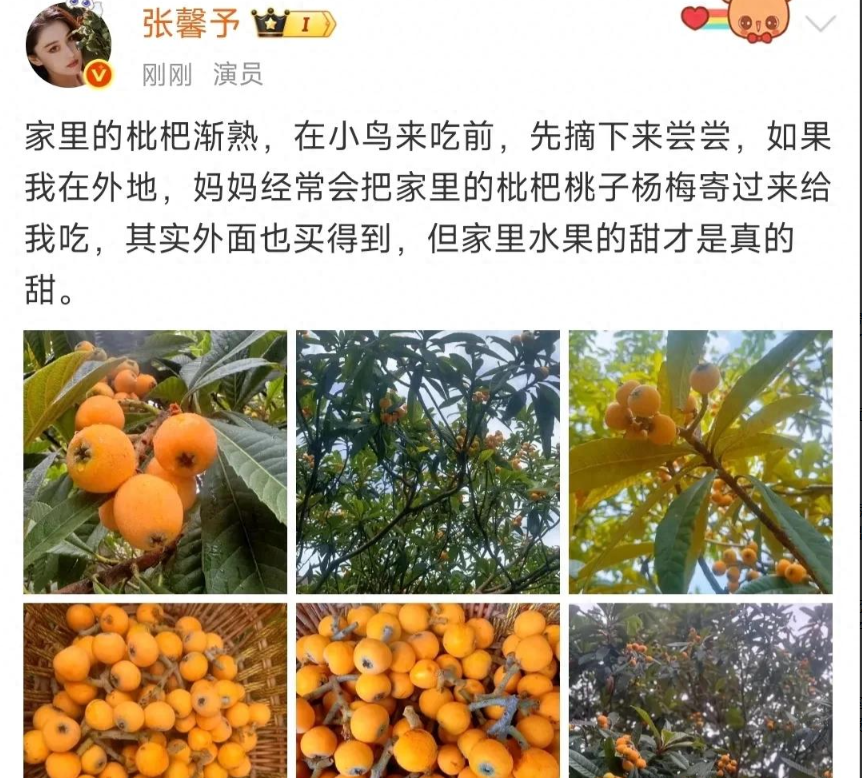 张馨予是现在演艺圈里少有的“活人感”女明星，别的艺人社交账号都是很正式的营业，