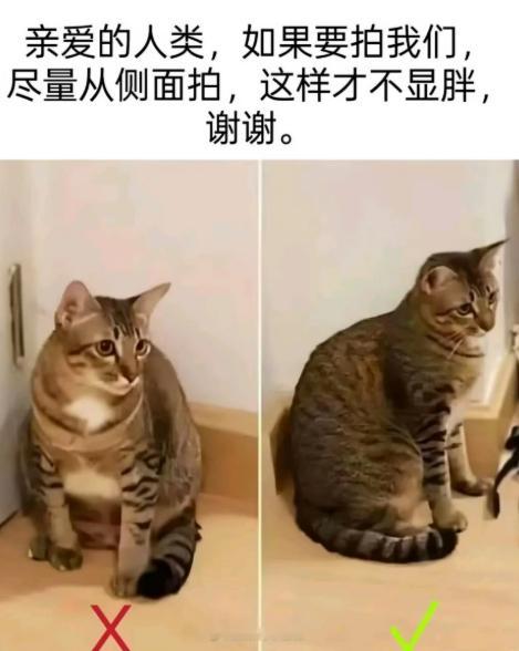 望周知​​​