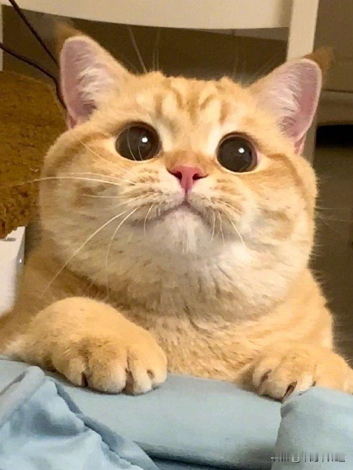 想吃好吃的VS吃完后！