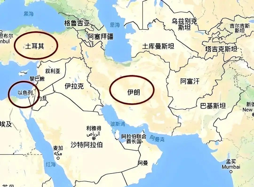 翻开历史，你会发现一个让人后背发凉的计划：如果以色列当年没选巴勒斯坦，而是去了马