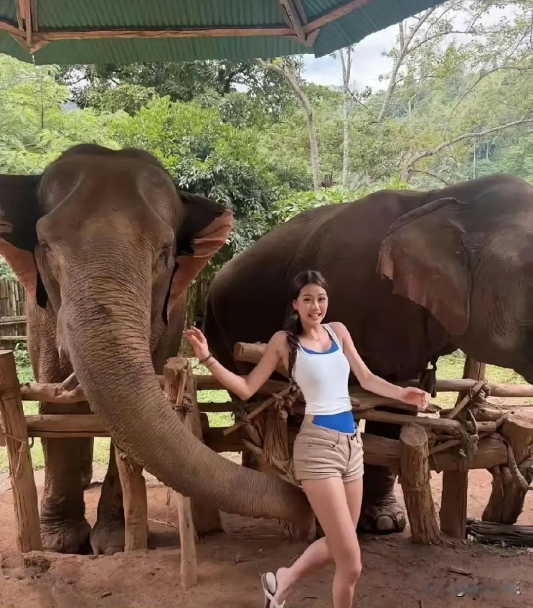 钟丽缇小女儿Cayla现身泰国旅行的照片一出来，简直惊艳众人才16岁的她，身高
