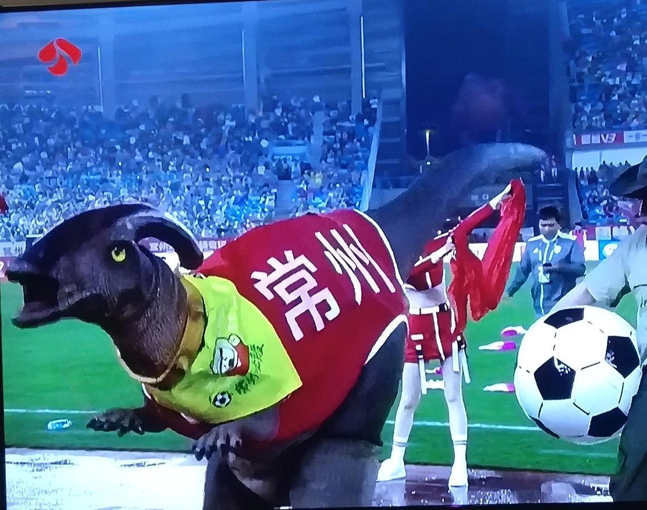 发现一个玄机，想赢球就得肯花钱，热度上来了，球也跟着进了。常州今年的开幕式，