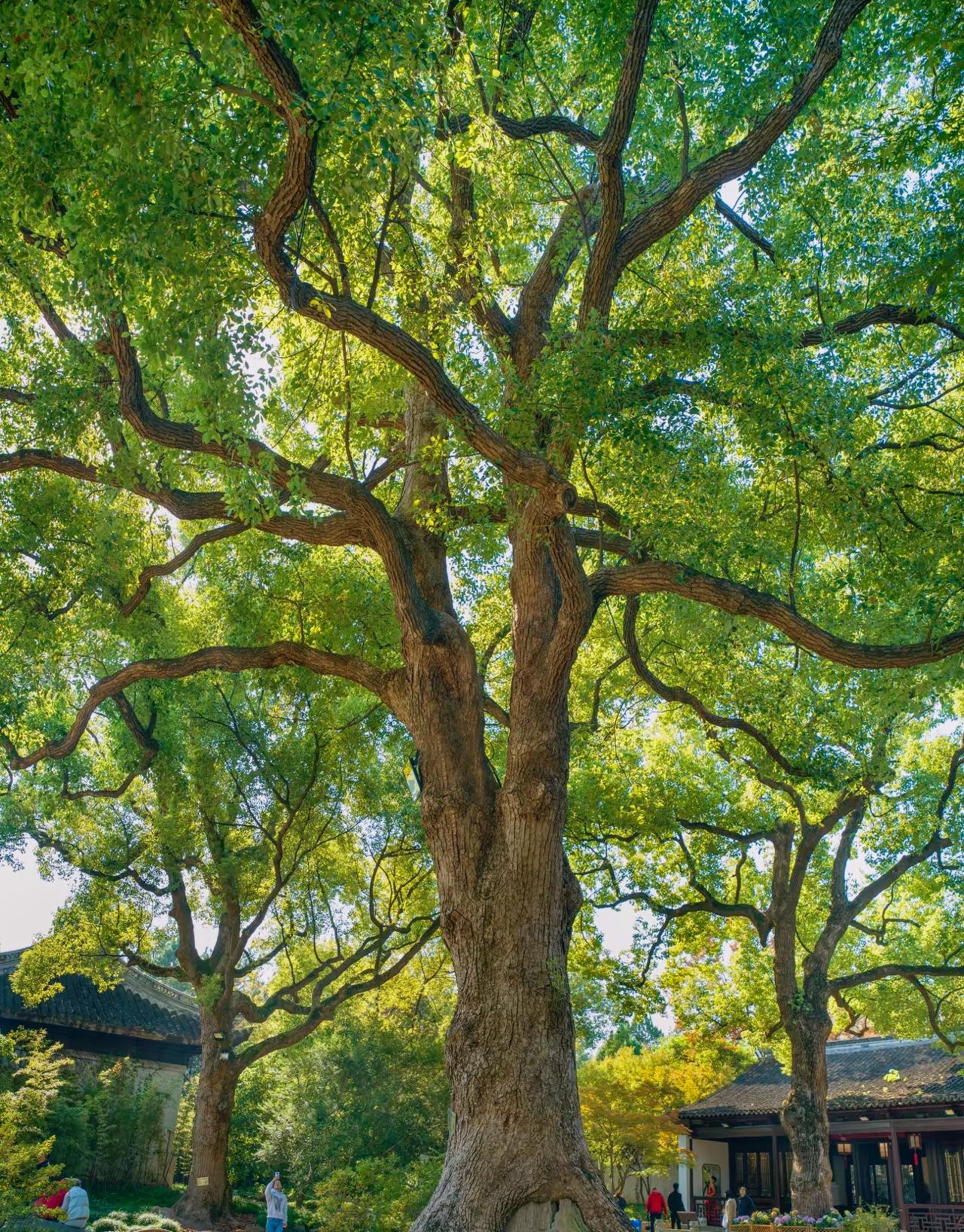 究竟要多少阅历才懂这些道理人到中年沉默是金闷声发大财无所求，无所念。全部的时间、