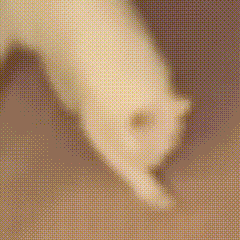 【迄今最深的岩芯被提取成功！】据《自然》新闻报道，一支国际科学家团队从南极西部腹