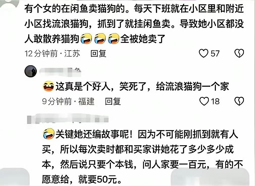 抓小区流浪猫狗，卖给有缘人，活菩萨呀​​​