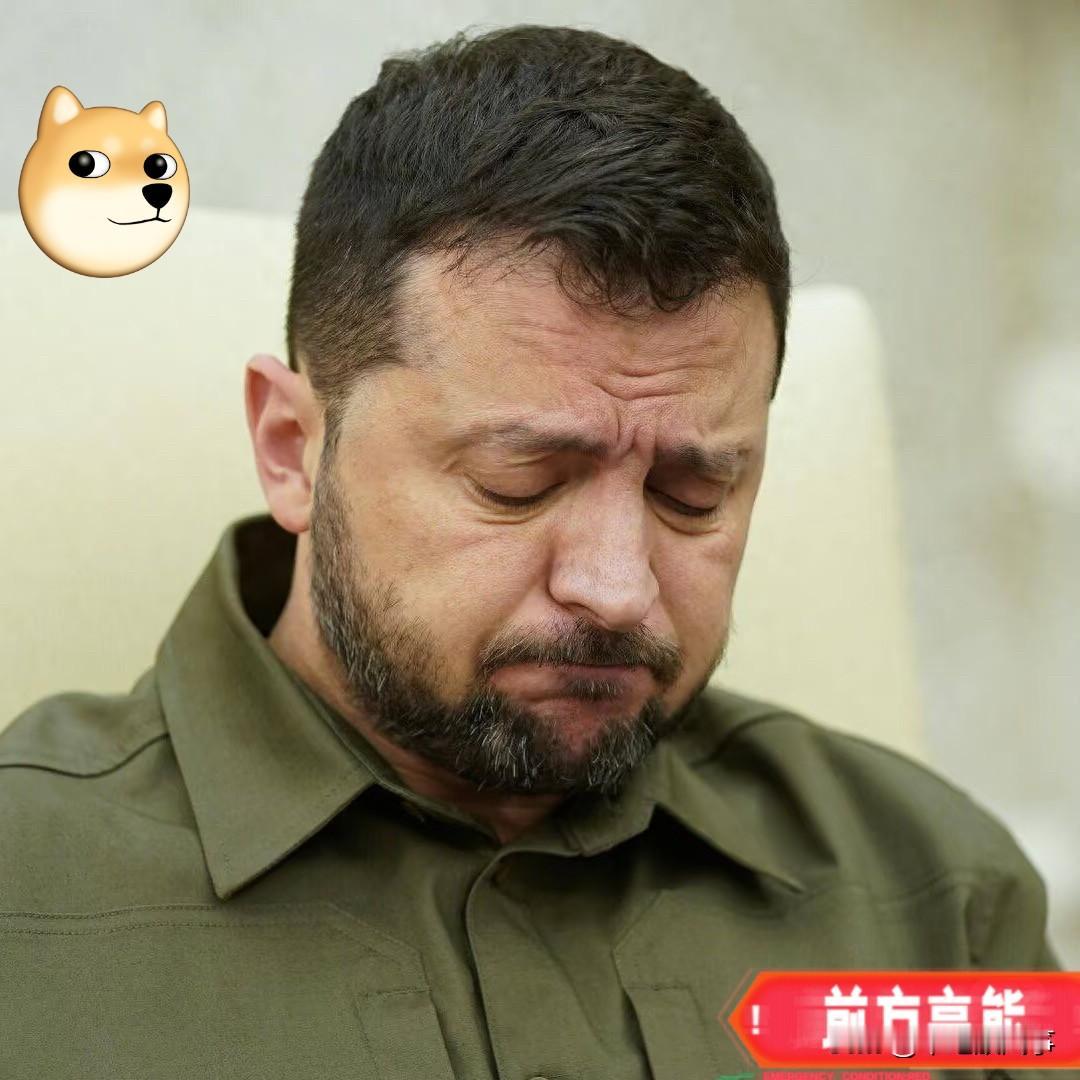 就在刚刚！联合国强硬站队乌克兰！泽连斯基绝地反击还是终极妥协？泽连斯基和古
