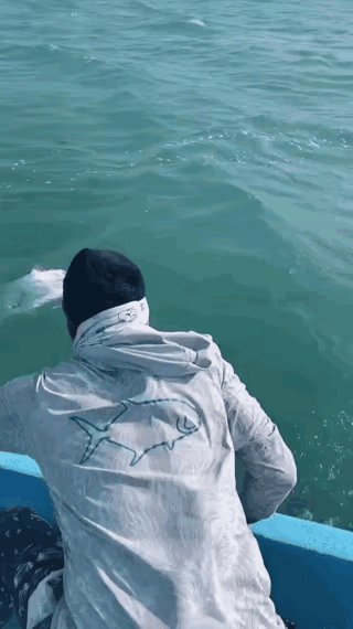 这是缘分啊就这水灵灵的遇到了[爱心]