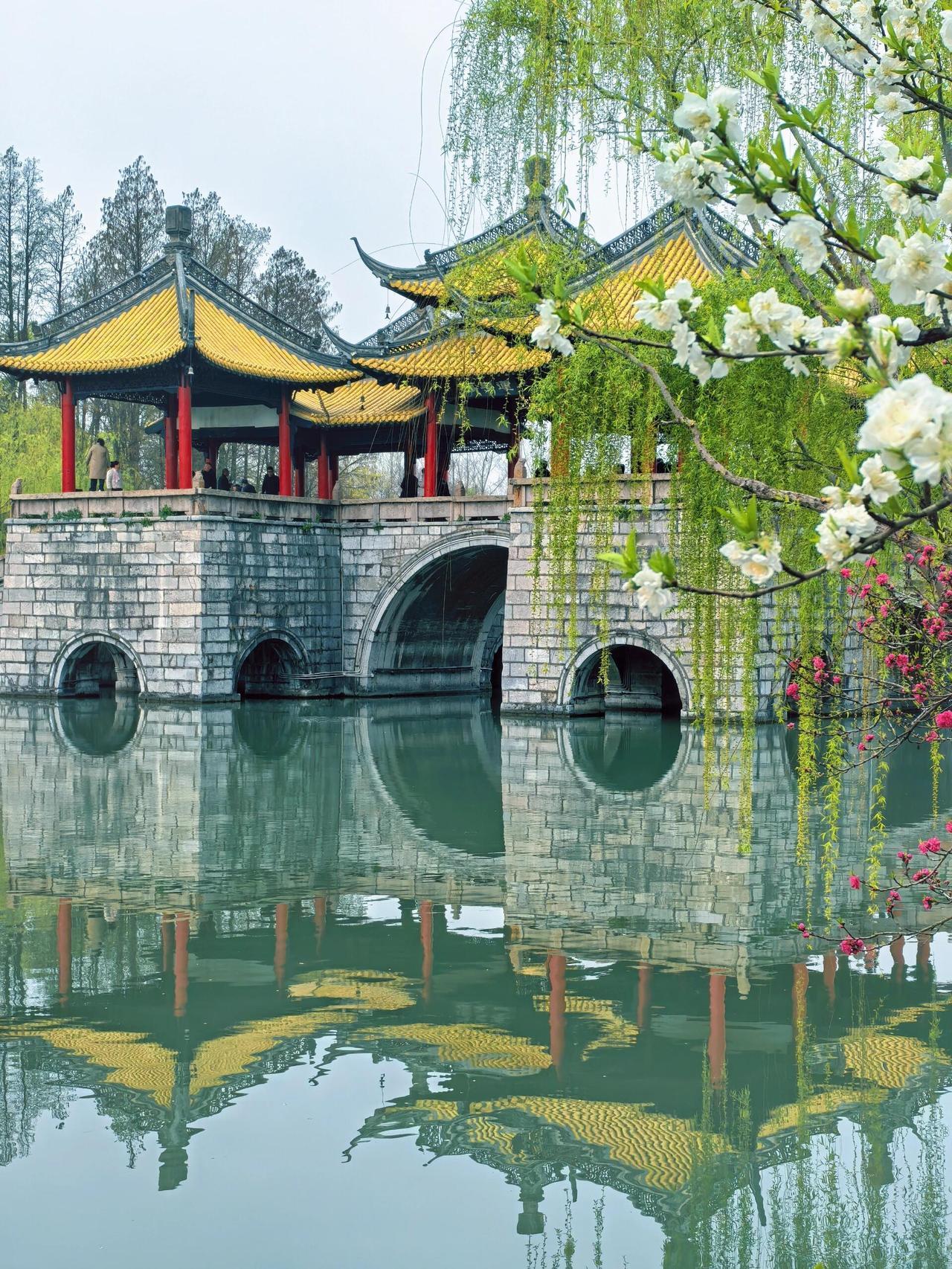 刚从扬州回来，这5件游玩攻略一定要记好！1. 早茶不必执着网红店，排队两小时实