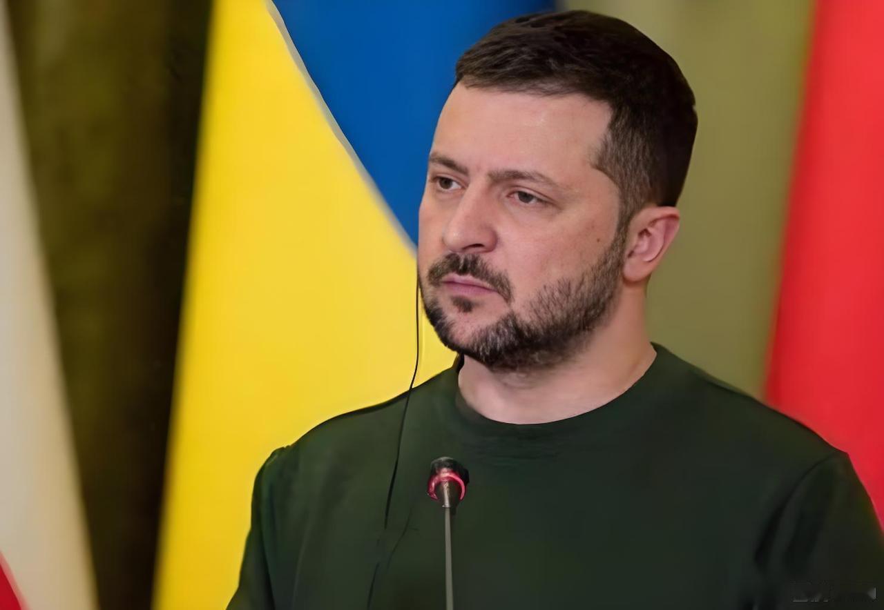 泽连斯基准备卸任。俄罗斯卫星通讯社华盛顿12月30日电，泽连斯基在与美国总统