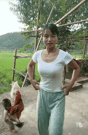 家里的小动物养久了，都会有灵性