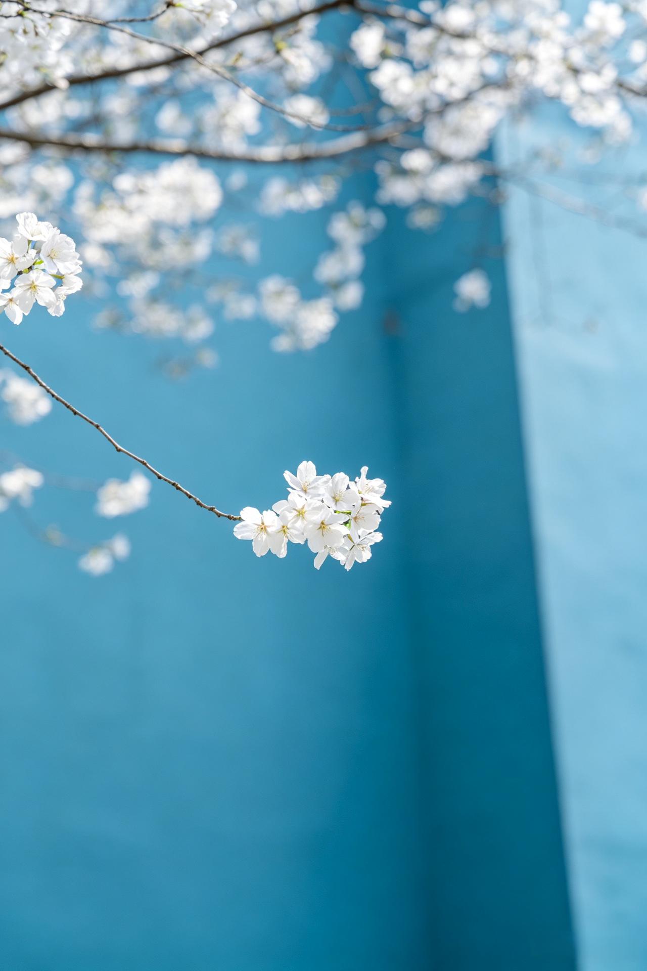 一位即将退休人员说：“小时候父亲就告诉我，人一辈子不可能一直都赚钱，一定要懂得