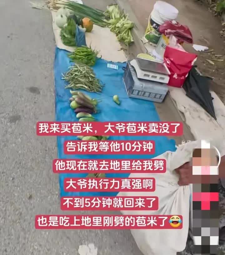 8月21日，辽宁，一名女子骑车回家，看见路边有一个卖苞米的老大爷。女子问还有苞米