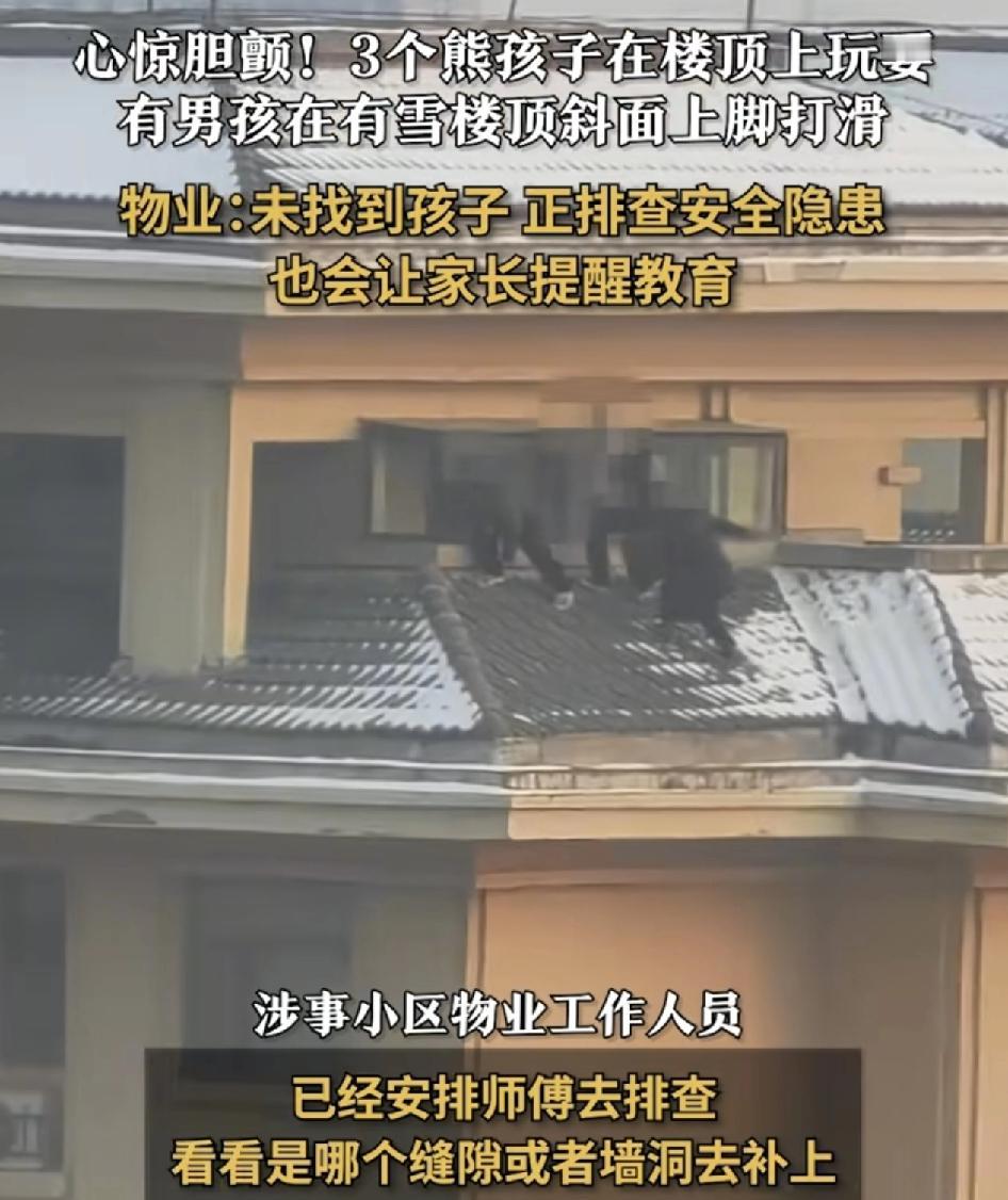 河南新乡，有网友发视频称在自家。楼看到对面楼上面男孩在楼顶上玩积雪，其中有男孩脚