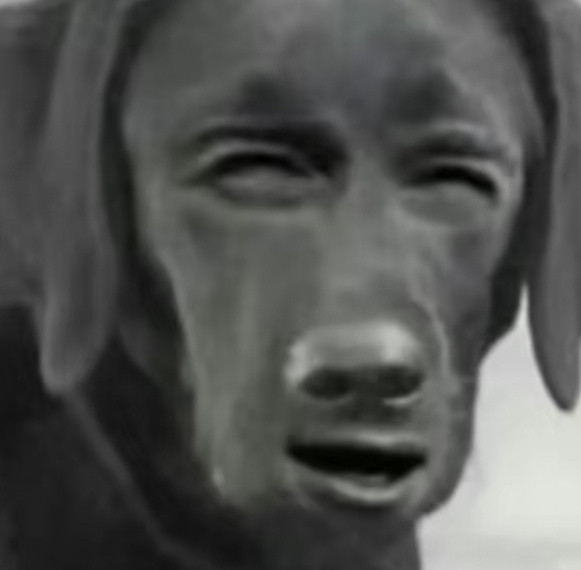 人家就是拍个古偶，男帅女美搞点甜甜的恋爱，至于吗…