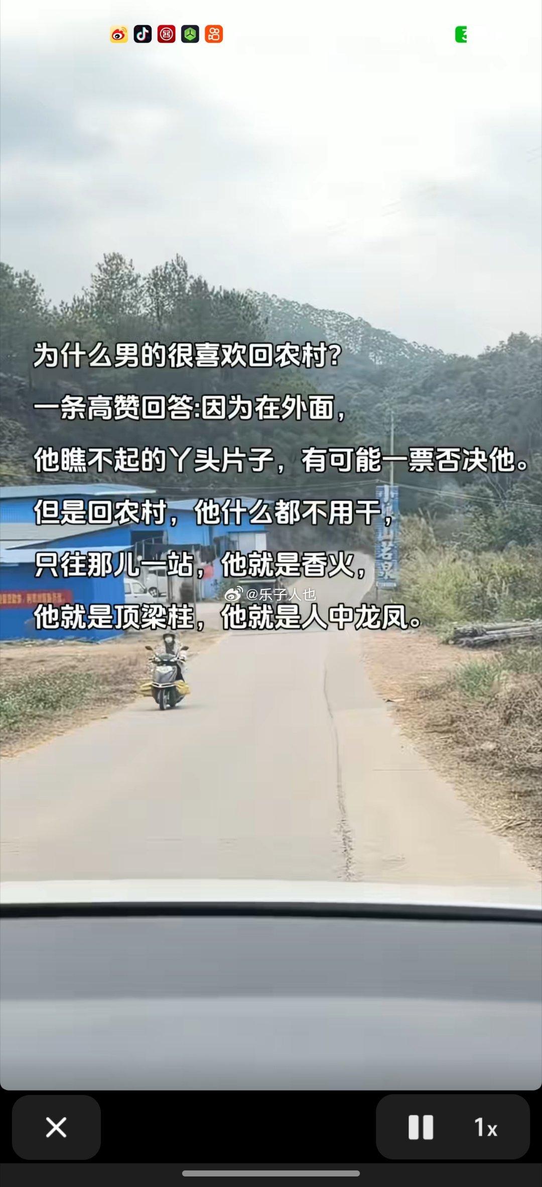 含金量堪比一斤鸡屎