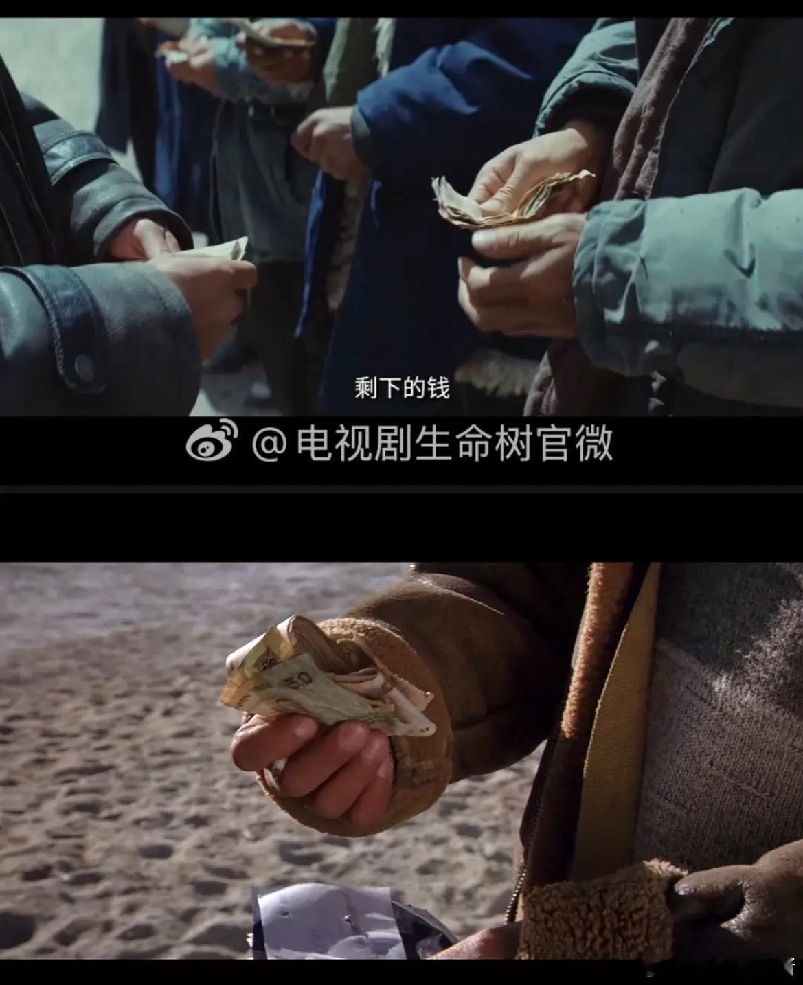 观杨紫《生命树》对大厂祛魅了，正午这种老牌大厂居然也干copy的事，网友辣评：“